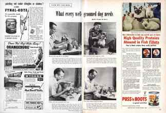 Better Homes & Gardens May 1957 Magazine Article: What every well groomed dog needs