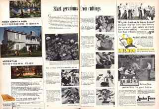 Better Homes & Gardens May 1957 Magazine Article: Start geraninums from cuttings