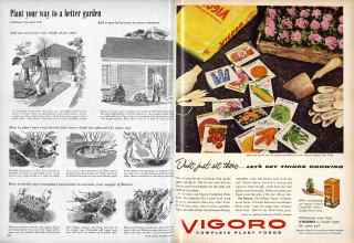 Better Homes & Gardens May 1957 Magazine Article: Page 292