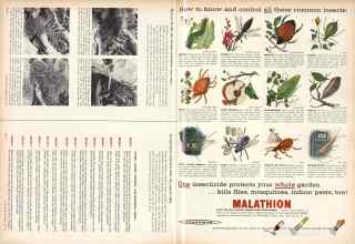 Better Homes & Gardens May 1957 Magazine Article: Page 308