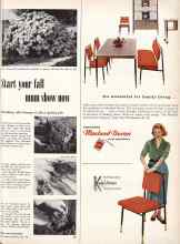 Better Homes & Gardens June 1957 Magazine Article: Start your fall mum show now