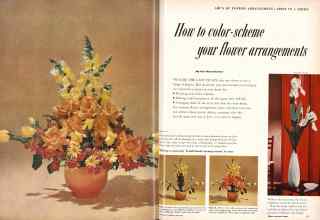 Better Homes & Gardens June 1957 Magazine Article: How to color-scheme your flower arrangements