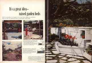 Better Homes & Gardens June 1957 Magazine Article: It's a great idea--raised garden beds