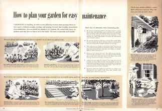Better Homes & Gardens June 1957 Magazine Article: How to plan your garden for easy maintenance