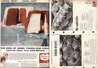 Better Homes & Gardens June 1957 Magazine Article: Page 102