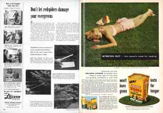 Better Homes & Gardens June 1957 Magazine Article: Page 202