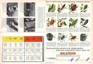 Better Homes & Gardens June 1957 Magazine Article: Page 208