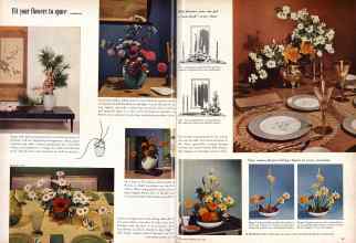 Better Homes & Gardens July 1957 Magazine Article: Page 58