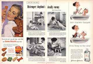 Better Homes & Gardens July 1957 Magazine Article: Distemper: dogdom's deadly enemy
