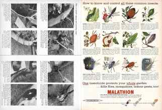 Better Homes & Gardens July 1957 Magazine Article: Page 132