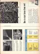 Better Homes & Gardens August 1957 Magazine Article: How to start lawns from seed