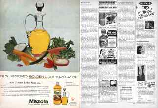 Better Homes & Gardens August 1957 Magazine Article: Page 102