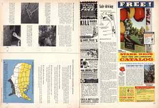 Better Homes & Gardens August 1957 Magazine Article: Page 124