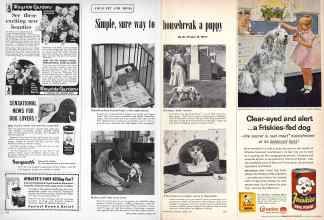 Better Homes & Gardens August 1957 Magazine Article: Simple, sure way to housebreak a puppy