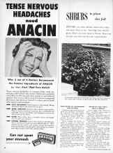 Better Homes & Gardens September 1957 Magazine Article: SHRUBS to plant this fall