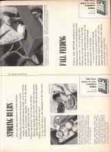 Better Homes & Gardens September 1957 Magazine Article: STORING BULBS