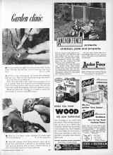Better Homes & Gardens September 1957 Magazine Article: Garden clinic