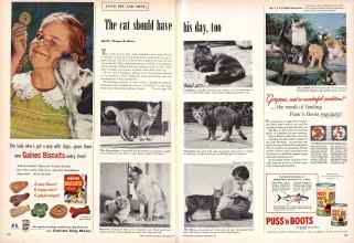 Better Homes & Gardens September 1957 Magazine Article: The cat should have his day, too