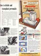 Better Homes & Gardens October 1957 Magazine Article: How to divide and transplant perennials