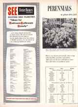 Better Homes & Gardens October 1957 Magazine Article: PERENNIALS to plant this fall