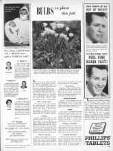 Better Homes & Gardens October 1957 Magazine Article: BULBS to plant this fall