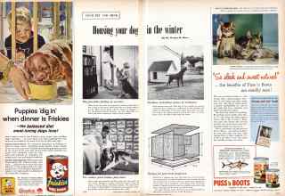 Better Homes & Gardens October 1957 Magazine Article: Page 232