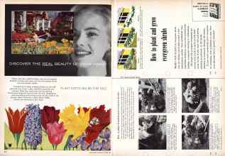 Better Homes & Gardens October 1957 Magazine Article: Page 236