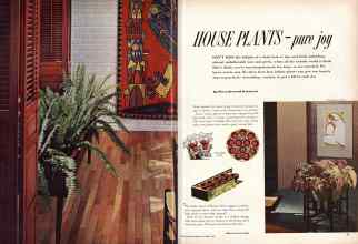 Better Homes & Gardens November 1957 Magazine Article: HOUSE PLANTS-pure joy