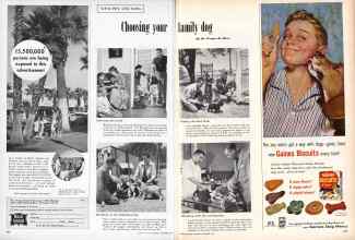 Better Homes & Gardens November 1957 Magazine Article: Page 208