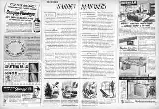 Better Homes & Gardens November 1957 Magazine Article: NOVEMBER GARDEN REMINDERS