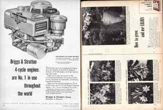 Better Homes & Gardens November 1957 Magazine Article: Page 222