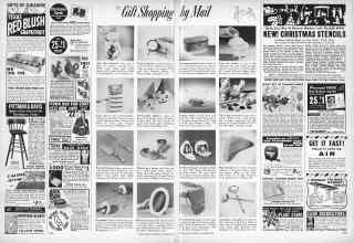 Better Homes & Gardens November 1957 Magazine Article: Page 234