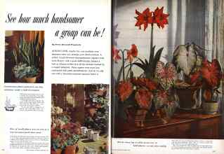 Better Homes & Gardens December 1957 Magazine Article: See how much handsomer a group can be!