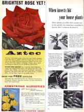 Better Homes & Gardens January 1958 Magazine Article: When insects hit your house plants