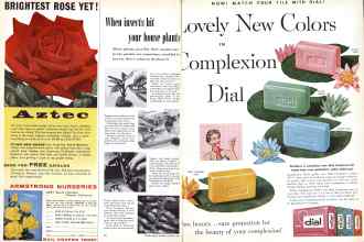 Better Homes & Gardens January 1958 Magazine Article: Page 22