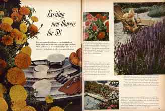 Better Homes & Gardens January 1958 Magazine Article: Page 54