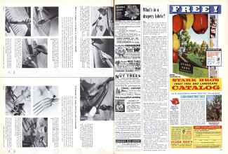 Better Homes & Gardens January 1958 Magazine Article: Page 106