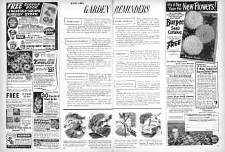 Better Homes & Gardens January 1958 Magazine Article: JANUARY GARDEN REMINDERS