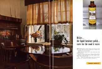 Better Homes & Gardens February 1958 Magazine Article: Page 38