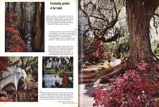 Better Homes & Gardens February 1958 Magazine Article: Page 52