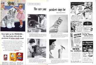 Better Homes & Gardens February 1958 Magazine Article: The care your parakeet sings for