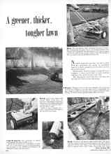 Better Homes & Gardens March 1958 Magazine Article: A greener, thicker, tougher lawn