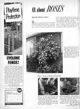 Better Homes & Gardens March 1958 Magazine Article: All about ROSES