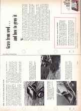 Better Homes & Gardens March 1958 Magazine Article: Grass from seed and how to grow it