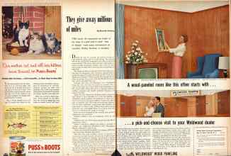 Better Homes & Gardens March 1958 Magazine Article: Page 44