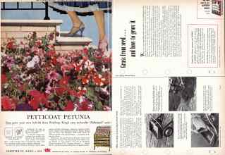 Better Homes & Gardens March 1958 Magazine Article: Page 194