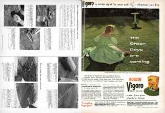 Better Homes & Gardens March 1958 Magazine Article: Page 196