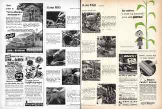 Better Homes & Gardens March 1958 Magazine Article: Page 198