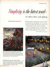 Better Homes & Gardens April 1958 Magazine Article: Simplicity is the latest word-in colors, lines, and upkeep