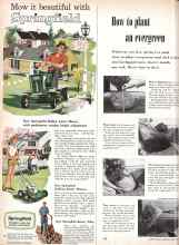 Better Homes & Gardens April 1958 Magazine Article: How to plant an evergreen